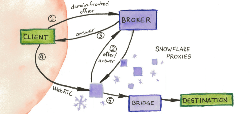 Privacy censorship snowflake schematic